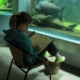 Mädchen malt vor Aquarium